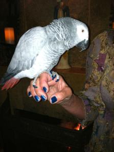 858182_10151386263136877_1911209356_o