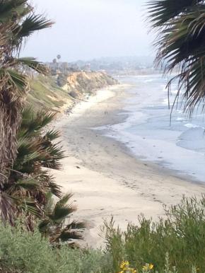 914042_10151650765175815_170810363_o